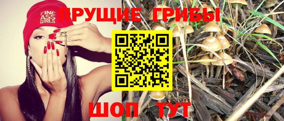 Галлюциногенные грибы MAGIC MUSHROOMS  наркота  Псилоцибиновые грибы GOLDEN TEACHER  Красноармейск  Вход с VPN 
