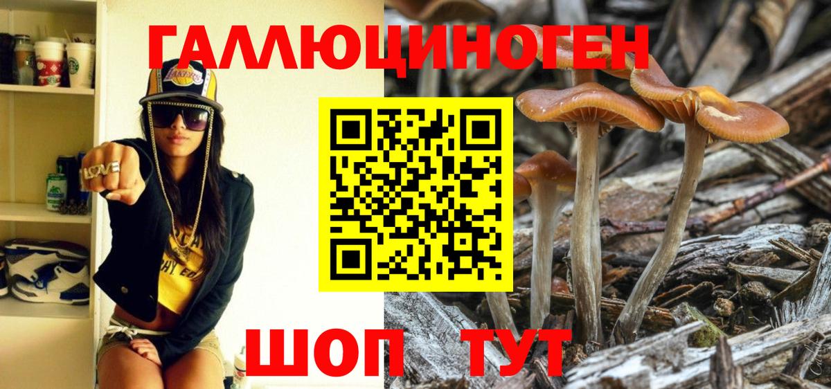 Псилоцибиновые грибы мухоморы Красноармейск
